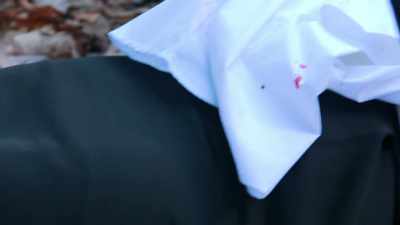 HER PHYSICAL DESCRIPTION
MATCHED, - Bloodlands