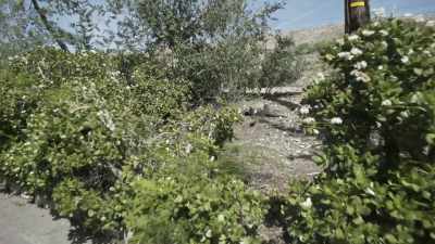 Her small and thin body
contained ligature marks - 35 Serial Killers the World Wants to Forget