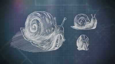 Her supersized snail
is also being made from oak. - Handmade: Britain's Best Woodworker