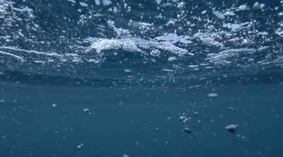 Her team has developed
the electronic lure - Mysteries of the Deep
