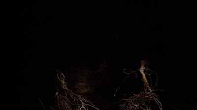 Her tunnel is a metre deep, - Micro Monsters with David Attenborough