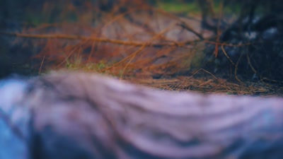 Her underwear was missing at
the time her body was recovered, - How I Caught My Killer