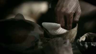 Herbs, tree bark,
those kind of things - Origins: The Journey of Humankind