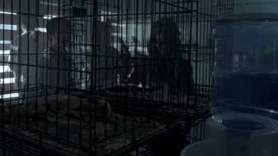 Herd's that way. - The Walking Dead