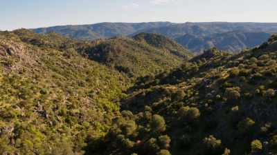 Here, a natural park was created
to help protect the lynx. - Seven Worlds, One Planet