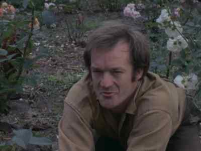 Here am I subverting you. - Penda's Fen