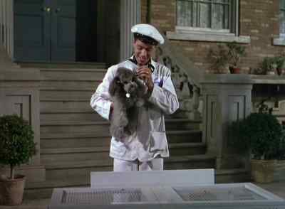 Here we are, Do-Do.
Your home sweet home. - Money from Home