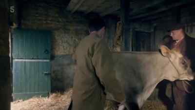 Here we are, girl. - All Creatures Great and Small