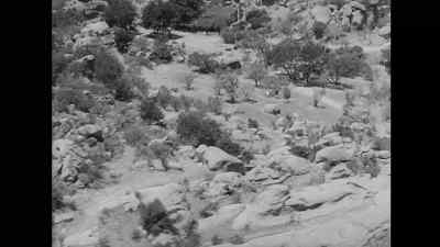 Here we are! Here we are! - The Hitch Hiker