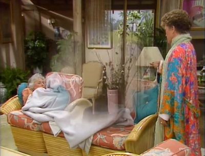 Here we are Sophia The perfect after dinner treat - The Golden Girls