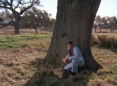 Here at Brahmin, we believe we have the
most advanced security system in the world. - The Six Million Dollar Man