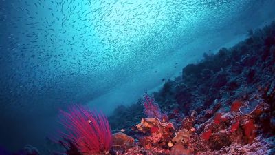 Here at the convergence of two great oceans - Journey to the South Pacific