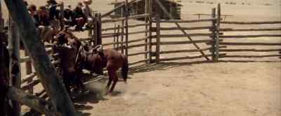 Here, boy. I think you can handle her now. - The Cowboys