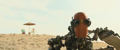 Here, boy! - Finch