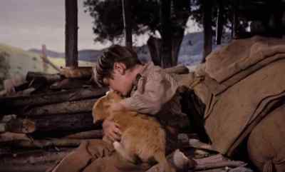 Here, you can have him. - Old Yeller