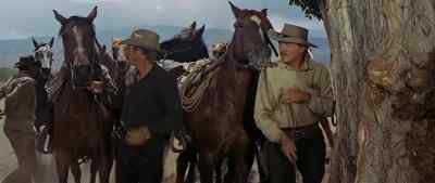 Here, you can put
your horse in the corral. - Nevada Smith