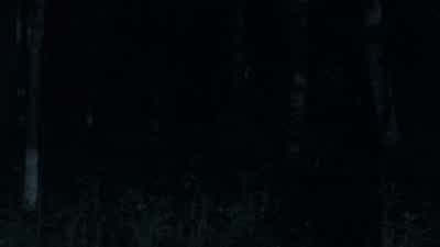Here, come on. - The Walking Dead