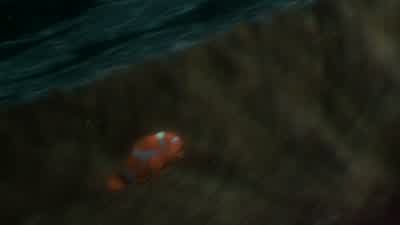 Here comes a big one! - Finding Nemo
