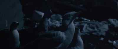 - Here he comes!
- Do you believe now? - Jonathan Livingston Seagull