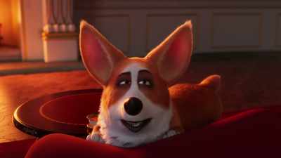 # Here comes the bride Here she extends # - The Queen's Corgi