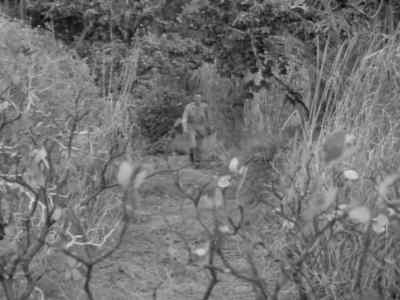 Here comes the doctor. - Tarzan's Hidden Jungle
