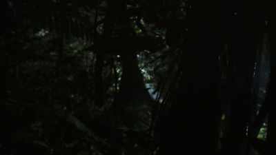 Here, danger lurks around every corner. - The Secret Lives of Animals