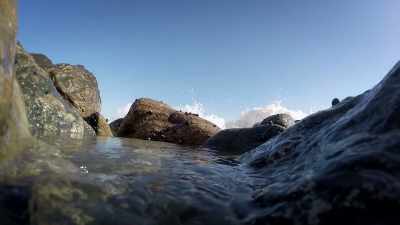 Here, every time it's low tide, - United States of Animals