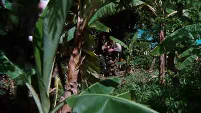 -Here we go.
-Come on, boys. - Treasure Island