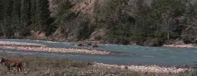 Here, go get some rope. - River of No Return