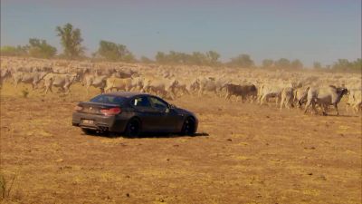 Here we go. - Top Gear