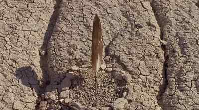 Here you go. - Thunderheart