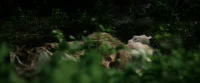 Here, here, here. - Grizzly Night