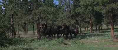 - Here.
- Here, Kid. - Stagecoach