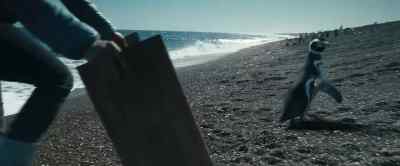 Here. Here. - My Penguin Friend