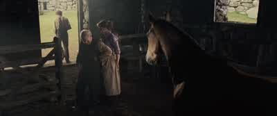 Here, here. - War Horse