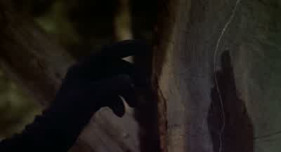 'Here I was born... - 12 Monkeys