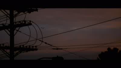 Here... sorry! - Donnie Darko