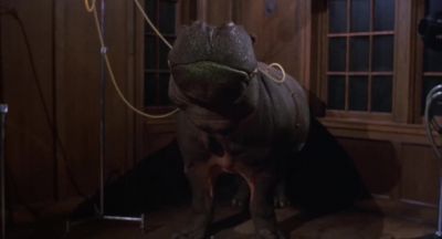 Here I'm studying premature ejaculation in a hippopotamus - Everything You Always Wanted to Know About Sex * But Were Afraid to Ask