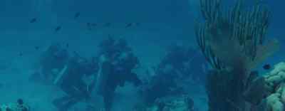 Here, in abundance,
were various substances - 20,000 Leagues Under the Sea