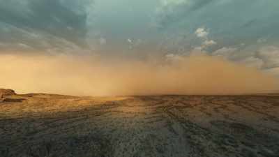 Here in Arizona, - The Green Planet