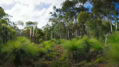 Here in south-western Australia, - The Green Planet