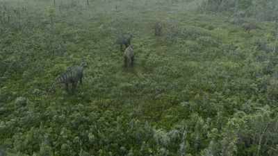 Here in spring, - Prehistoric Planet