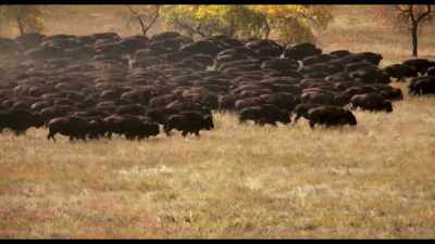 Here in the Northern Plains, - Kiss the Ground