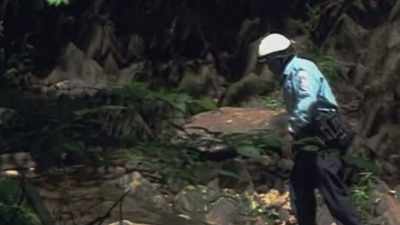 HERE IS A SKULL
FOUND IN THE PARK - Chandra Levy: An American Murder Mystery