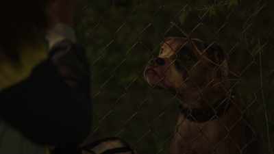Here it is.
Good girl. - The Chi