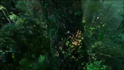 -Here it is. - Avatar