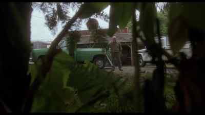 Here kitty kitty kitty Kitty kitty kitty kitty - Homeward Bound: The Incredible Journey
