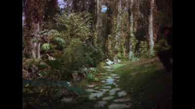 Here, Lassie, come here. - Lassie Come Home