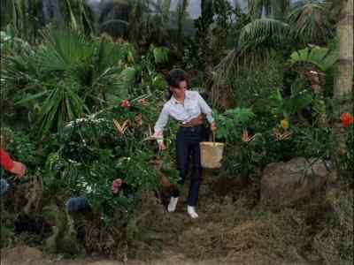 HERE, MARY ANN. - Gilligan's Island