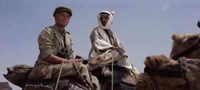 Here you may drinkOne cupYou do not drinkNoI'll drink when you doI am Bedu - Lawrence of Arabia